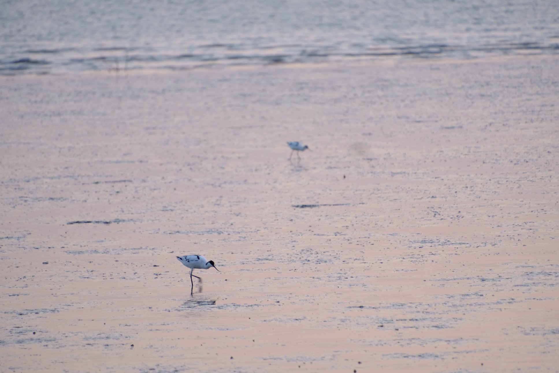 FUJIFILM X-T1 18-300mm F/3.5-6.3 DiIII-A VC VXD B061X