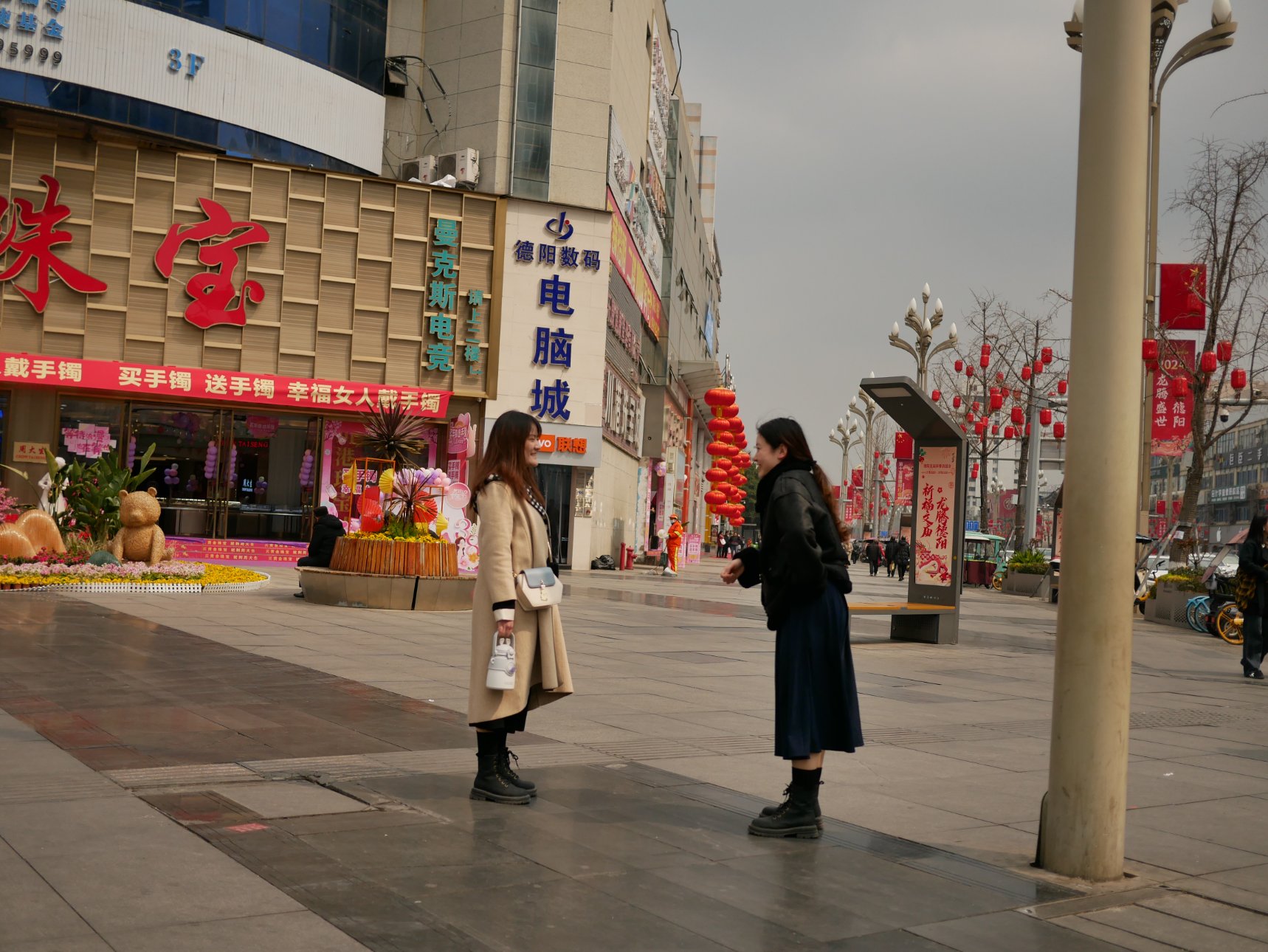 Panasonic DC-GF10