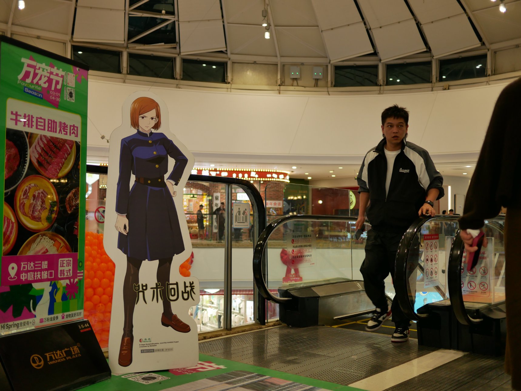 Panasonic DC-GF10