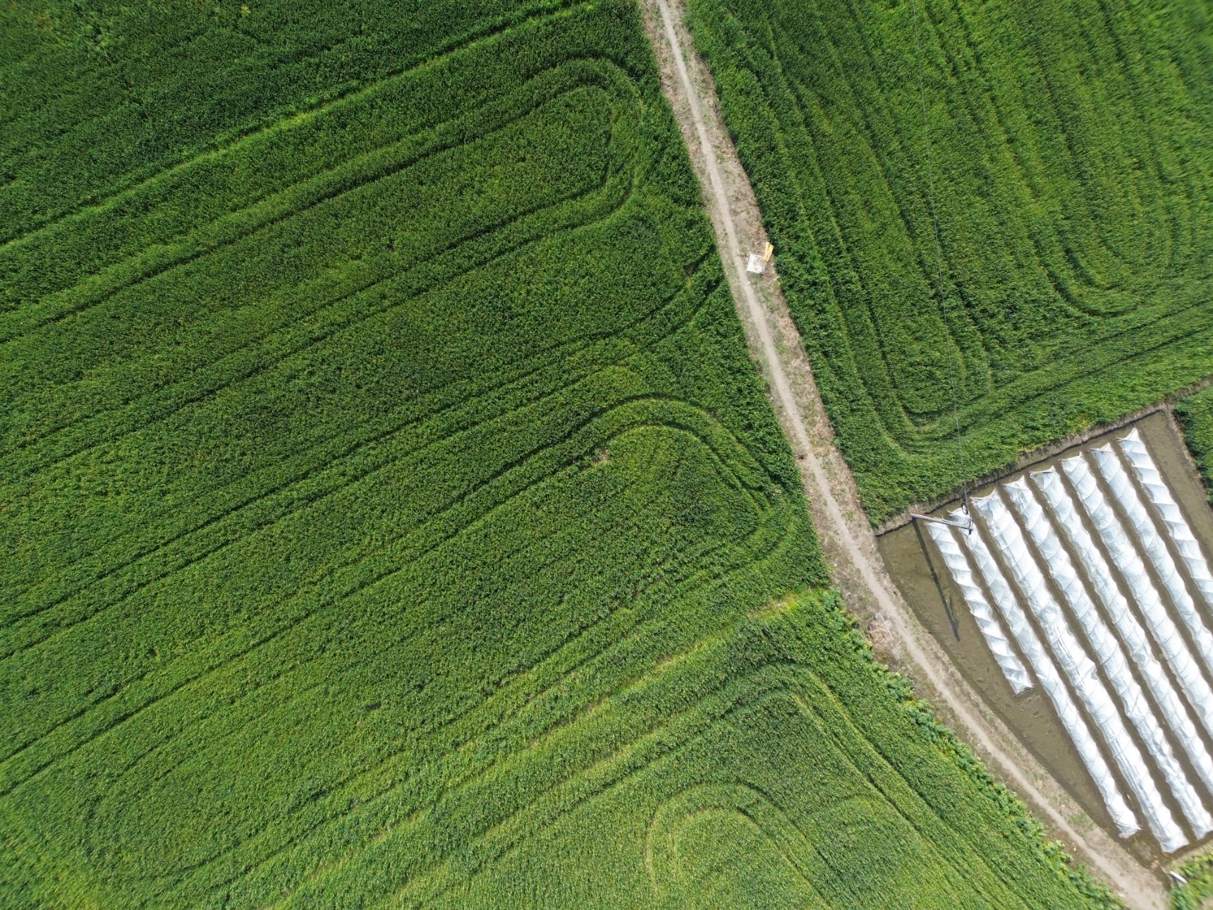 DJI FC3682