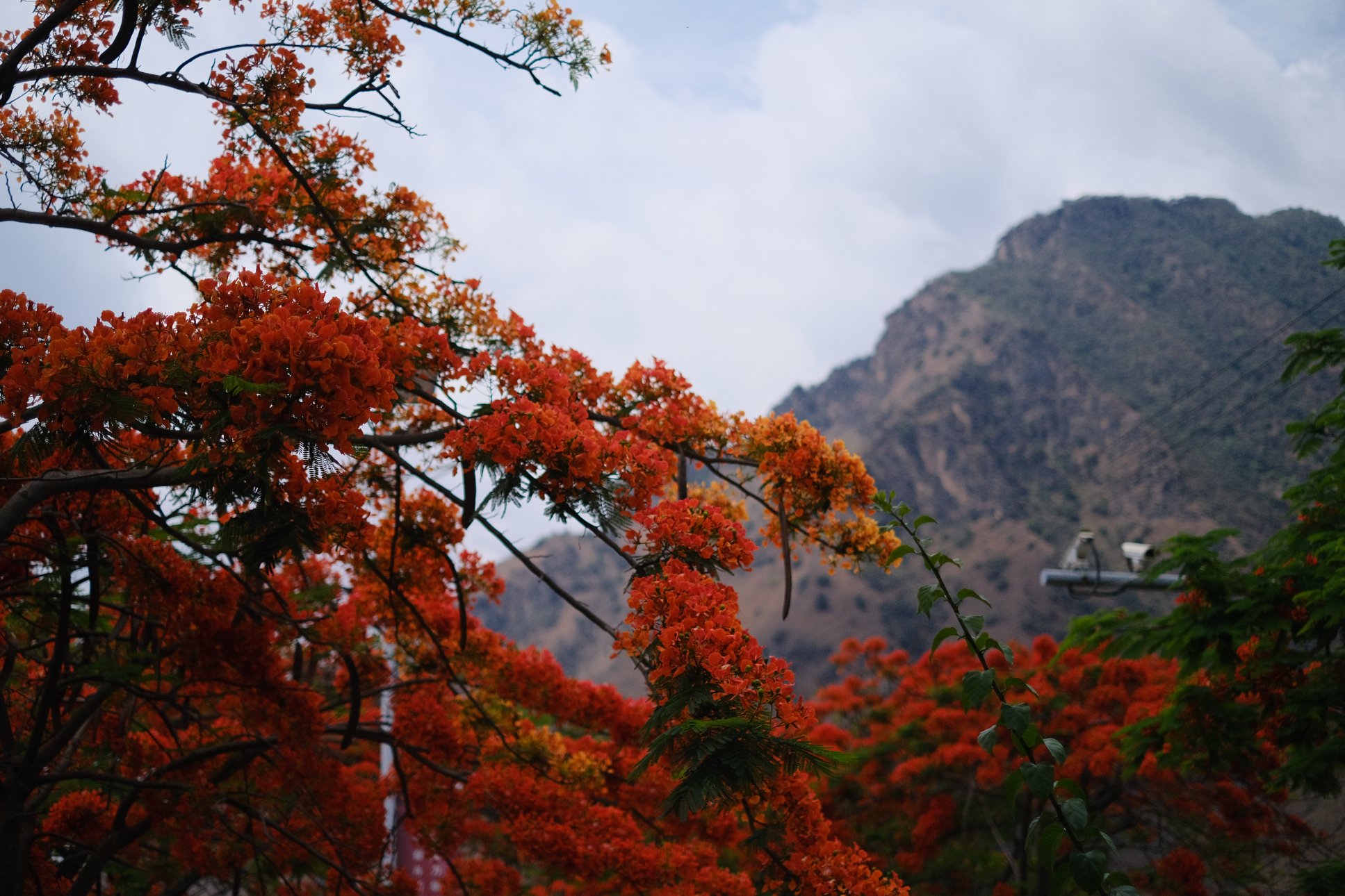 FUJIFILM X-E4