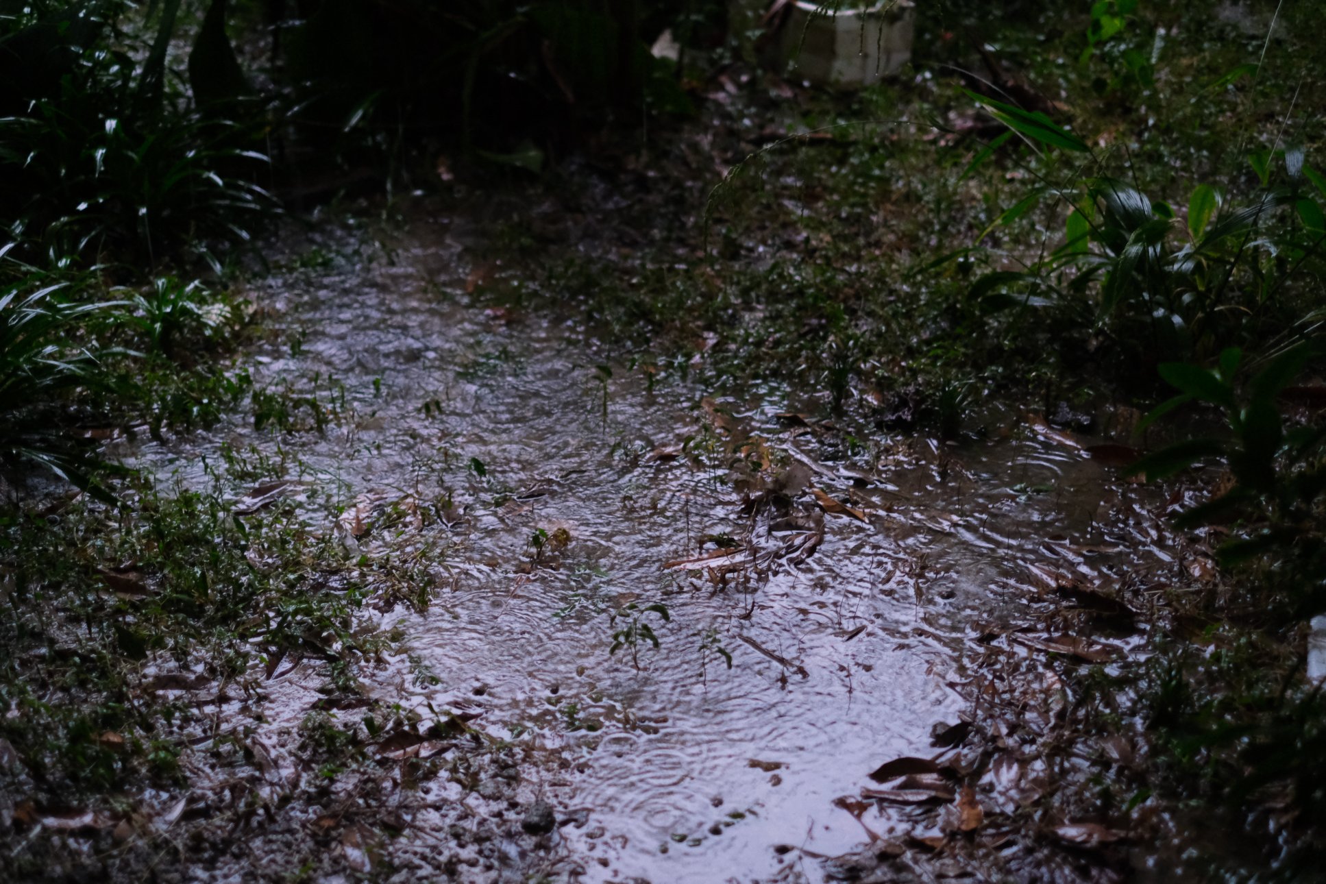 FUJIFILM X-E4