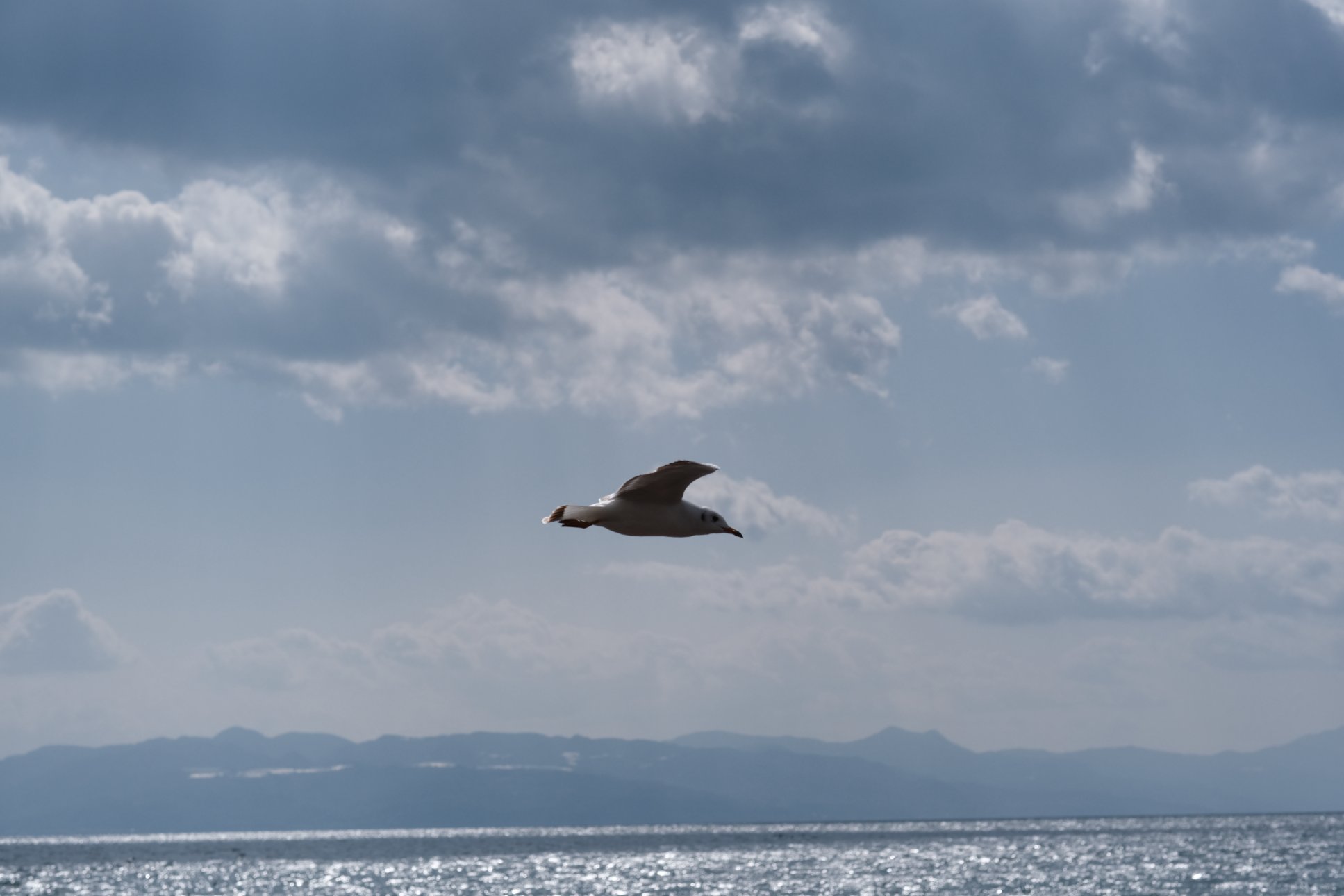 FUJIFILM X-E4 XF56mmF1.2 R