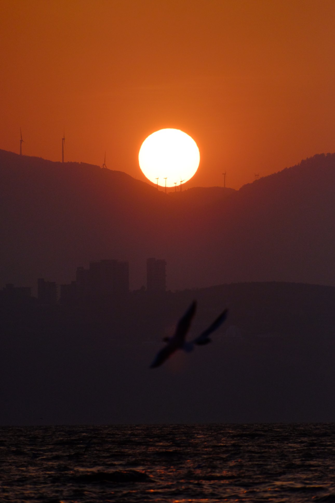 FUJIFILM X-T1 18-300mm F/3.5-6.3 DiIII-A VC VXD B061X