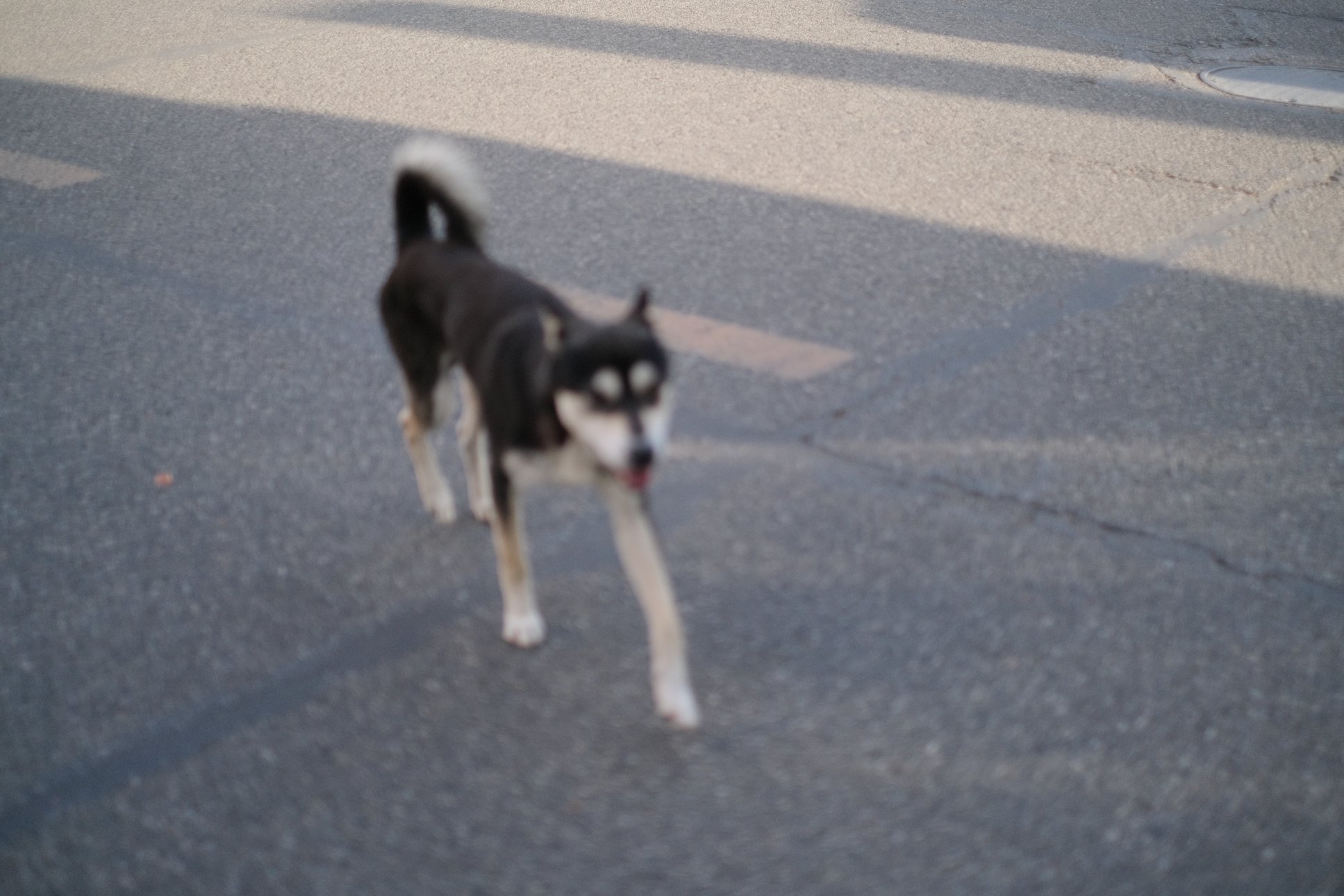 FUJIFILM X-E4