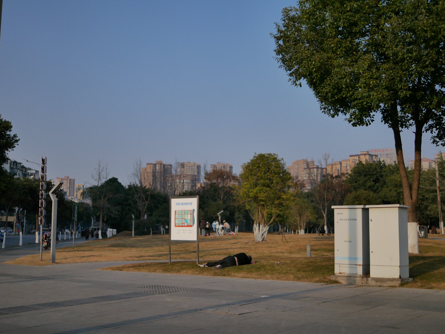 Panasonic DC-GF10