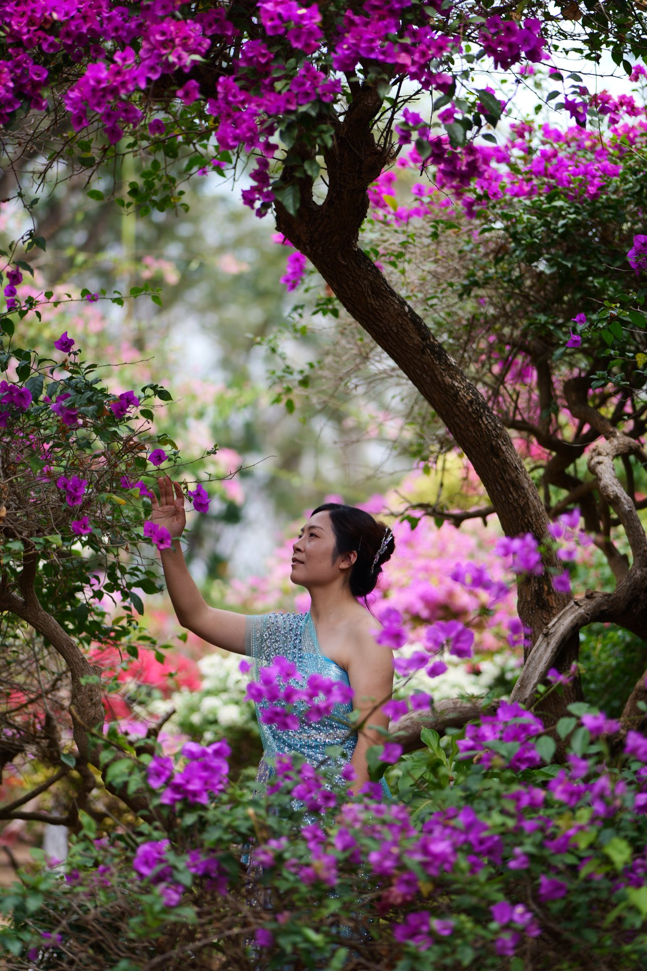 Panasonic DC-S9 LUMIX S 85/F1.8