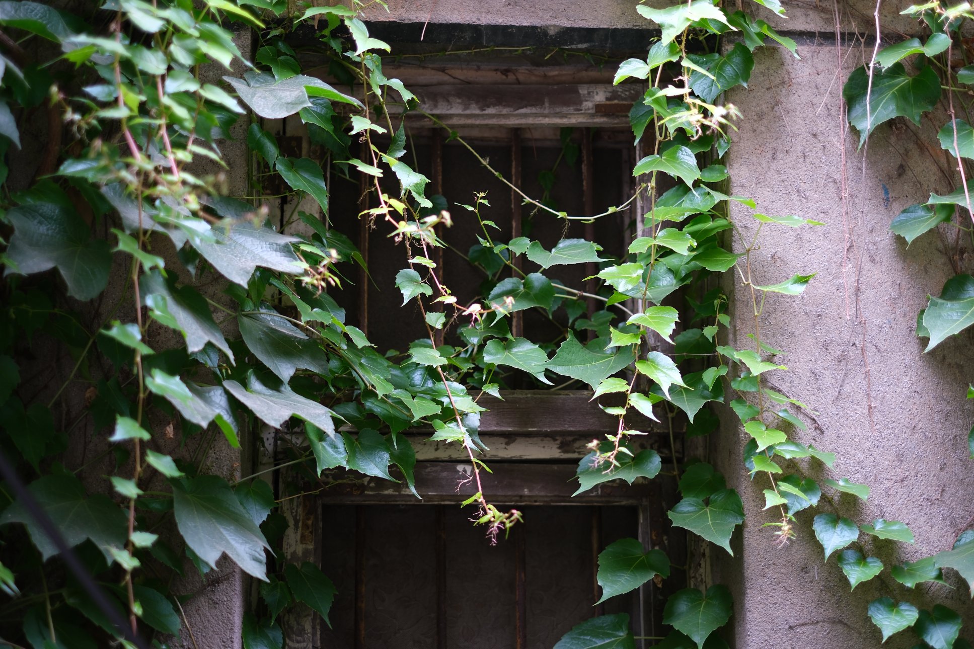 FUJIFILM X-M5