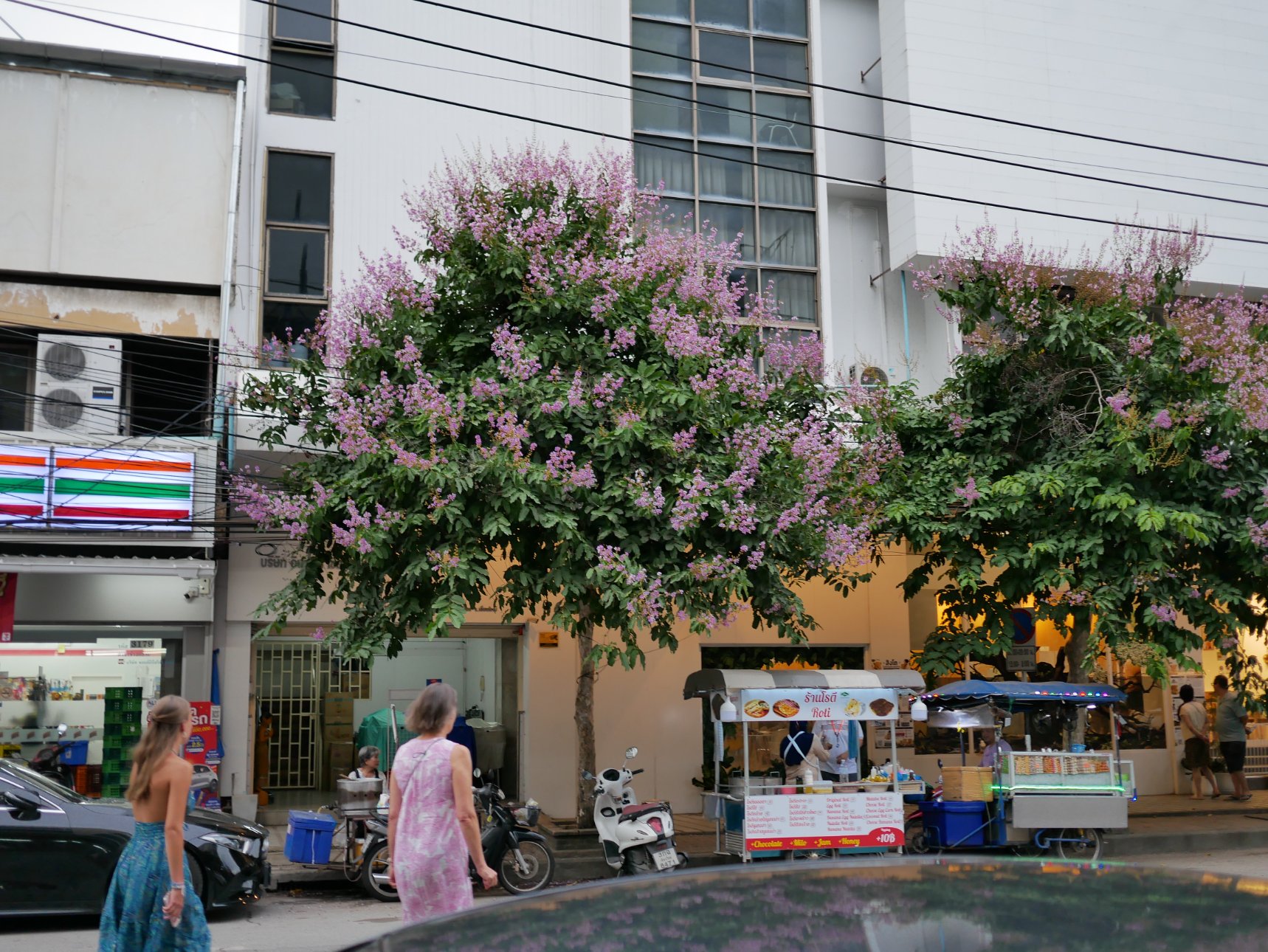 Panasonic DC-GF10