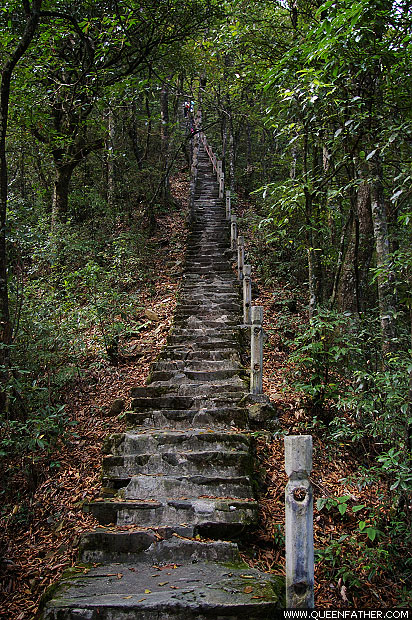 贵州行·梵净山