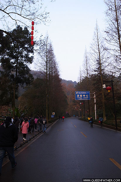 独上青城山