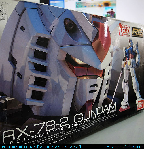 RG入手
