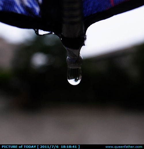 夏雨绵绵