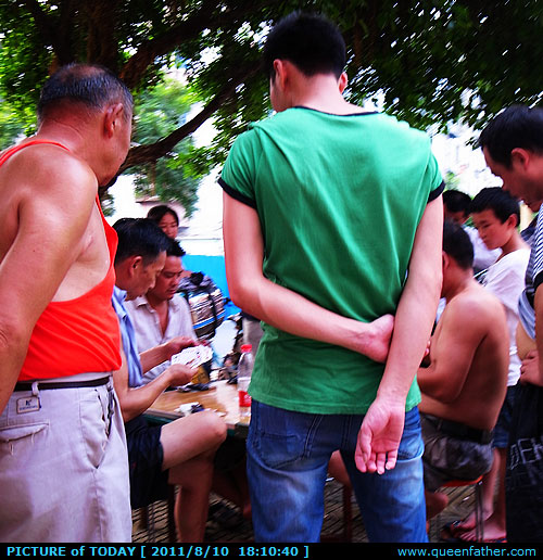 全民娱乐