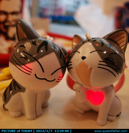 萌小猫