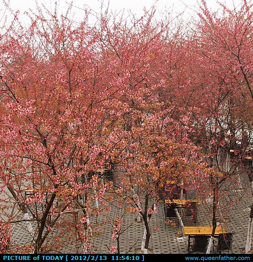 春天来了么