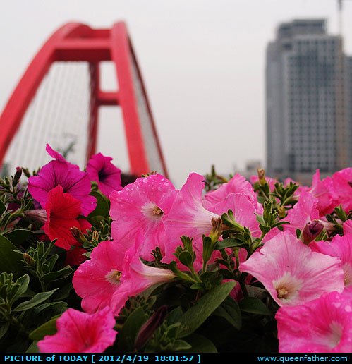雨后的彩虹桥